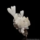 Calcite stalactites - image 4