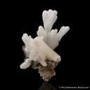 Calcite stalactites - image 1
