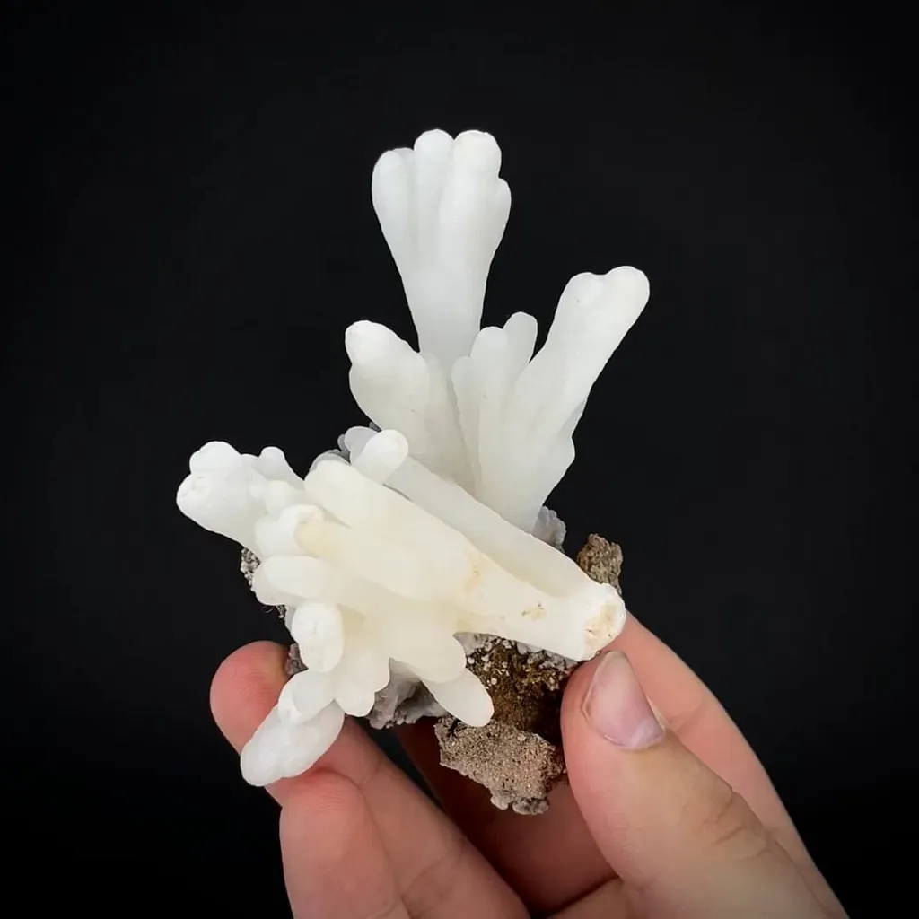 Calcite stalactites image