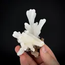 Calcite stalactites - image 2