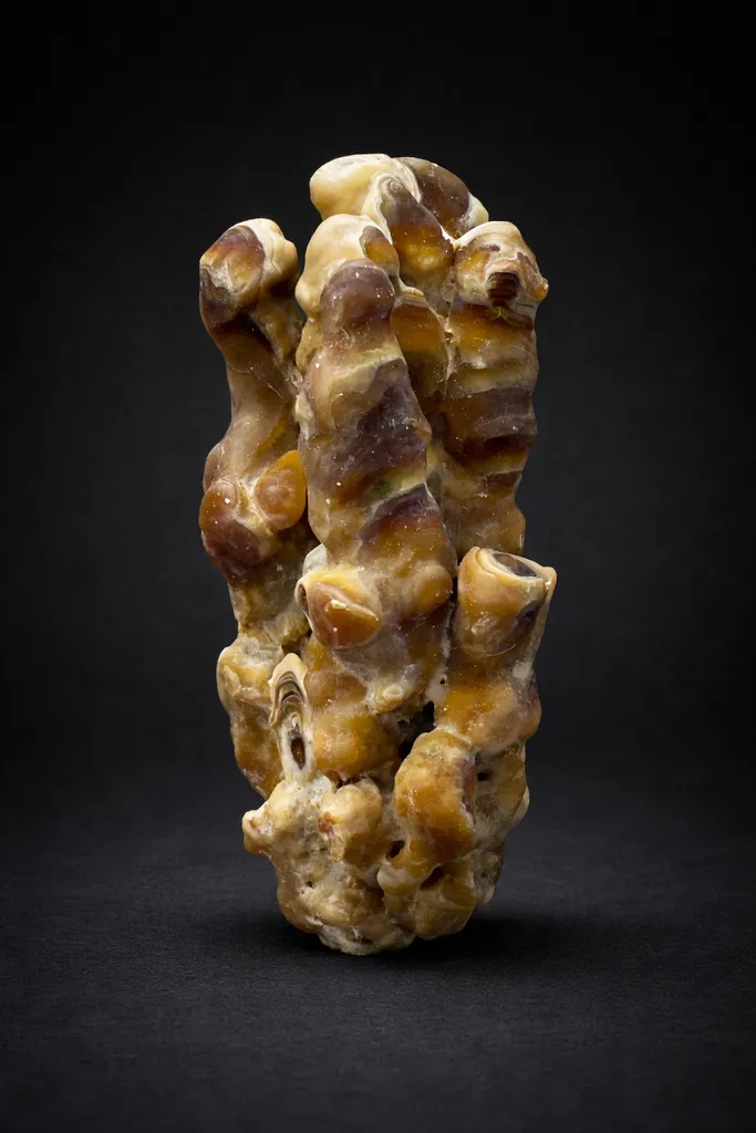 Calcite Stalagmite from Morocco, Drâa-Tafilalet Region, Midelt Province, Midelt image