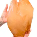 specimen video