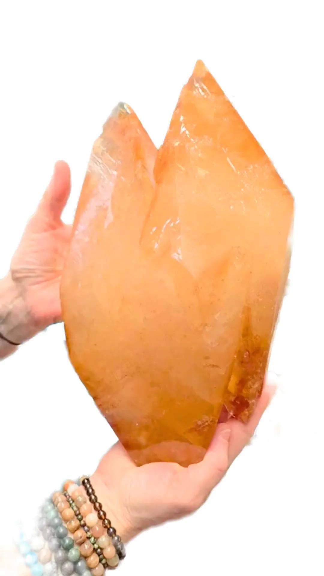specimen video