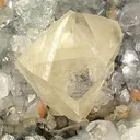 Calcite (Twinned) on Apophyllite With Stilbite - image 2