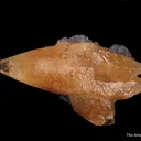 Calcite (twinned) on Fluorite - image 3