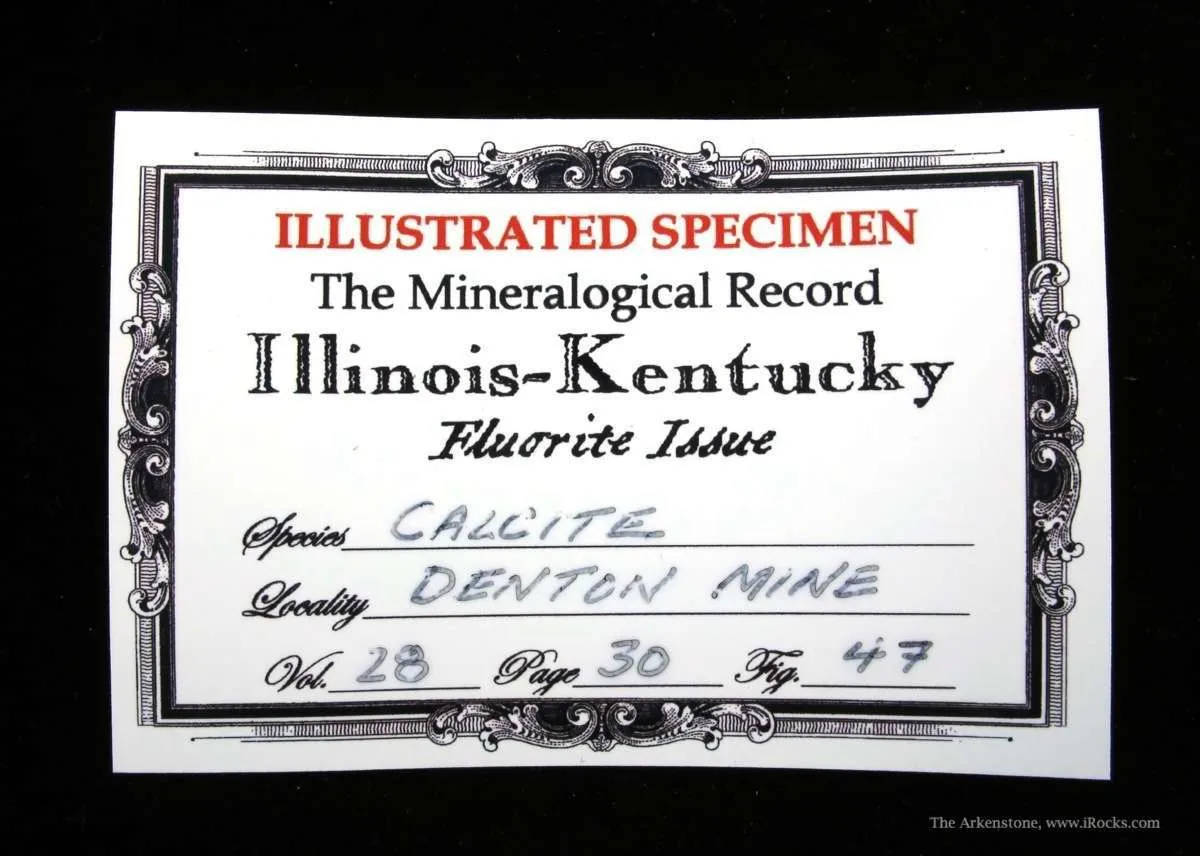 Calcite (Twinned) on Fluorite (Illustrated) - image 6