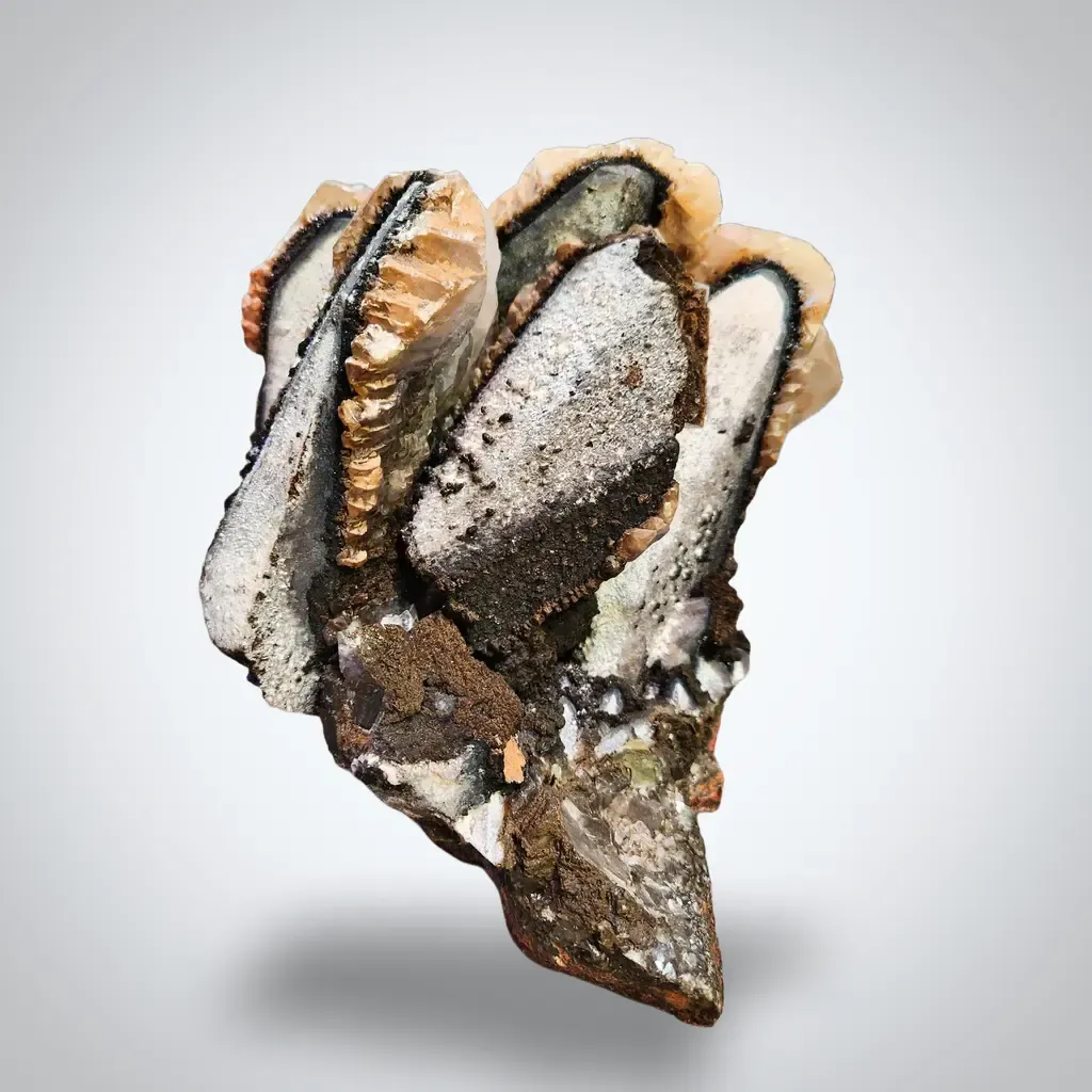 Calcite (Twinned) w/ Palygorskite & Romanèchite image