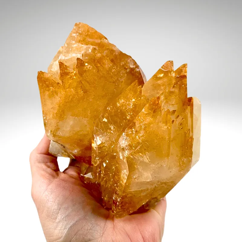 Calcite (Twinned) with Sphalerite from USA, Tennessee, Elmwood Mine image