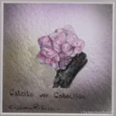 Calcite var. Cobaltian - image 3