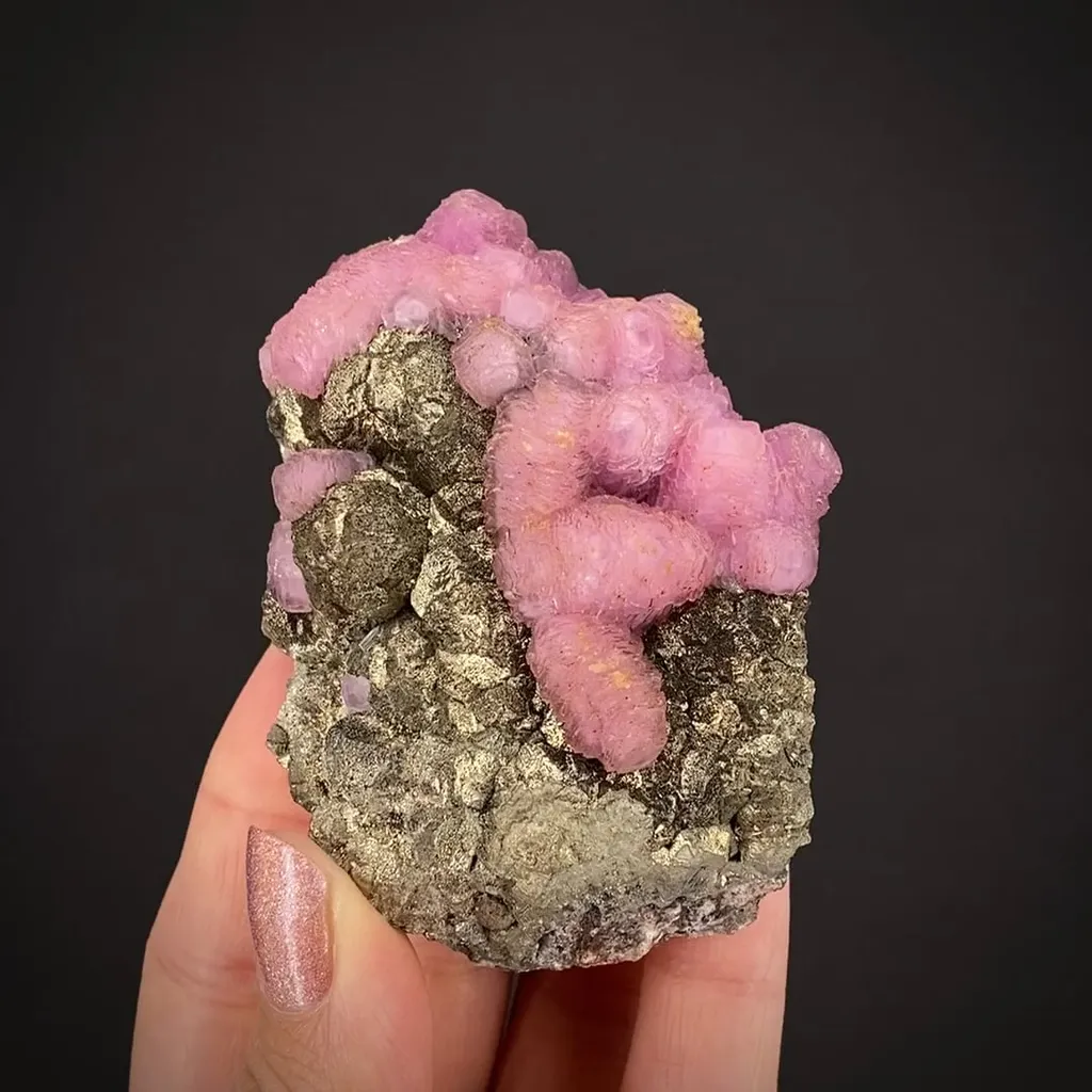 Calcite var. Cobaltian, on Pyrite image