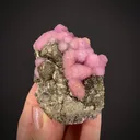 Calcite var. Cobaltian, on Pyrite - image 1