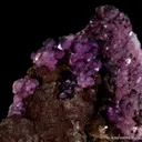 Calcite var. Cobaltian with Pyrite - image 5