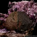 Calcite var. Cobaltian with Pyrite - image 4