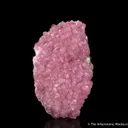 Calcite var. Cobaltoan - image 4