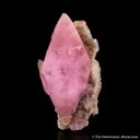 Calcite var. Cobaltoan - image 4