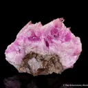 Calcite var. Cobaltoan - image 2