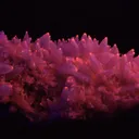 Calcite (Var: Cobaltoan Calcite) - image 3