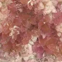 Calcite (Var: Cobaltoan Calcite) - image 2