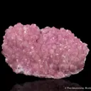 Calcite var. Cobaltoan - image 1