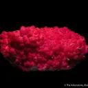 Calcite var. Cobaltoan - image 3