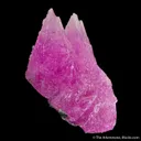 Calcite var. Cobaltoan - image 1