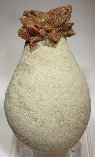 Calcite (Var: Glendonite) image