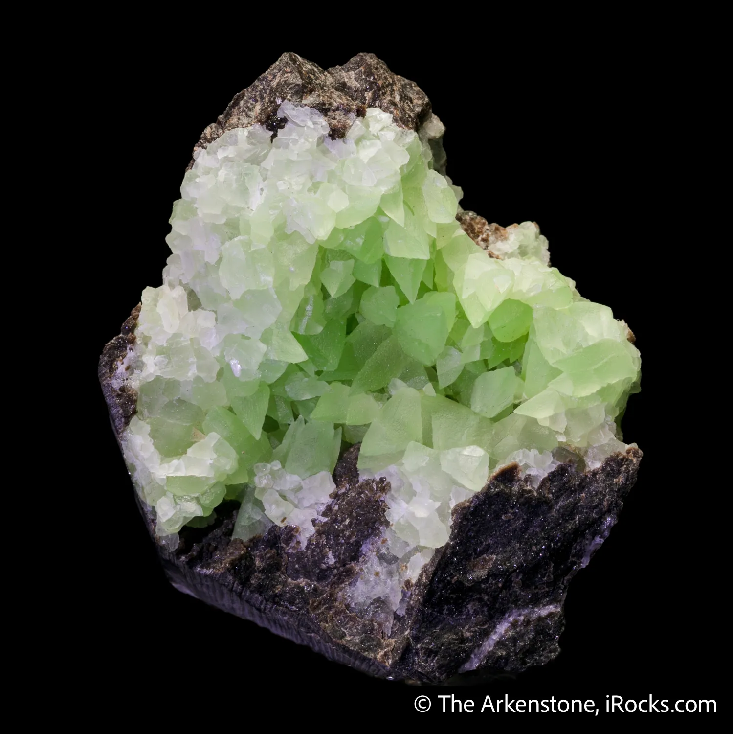 Calcite var. "Kiwi Calcite" on petrified wood - image 1