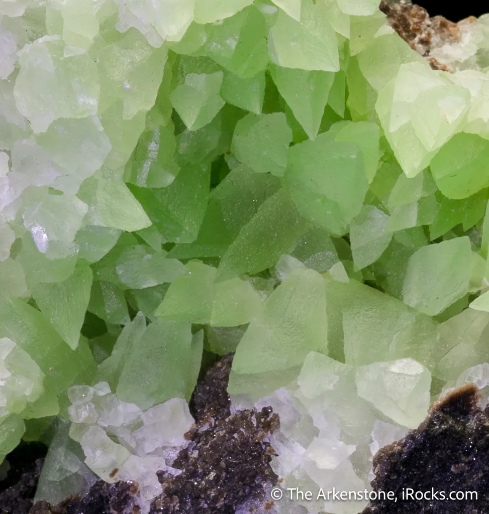 Calcite var. "Kiwi Calcite" on petrified wood - image 4