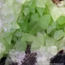 Calcite var. "Kiwi Calcite" on petrified wood - image 4