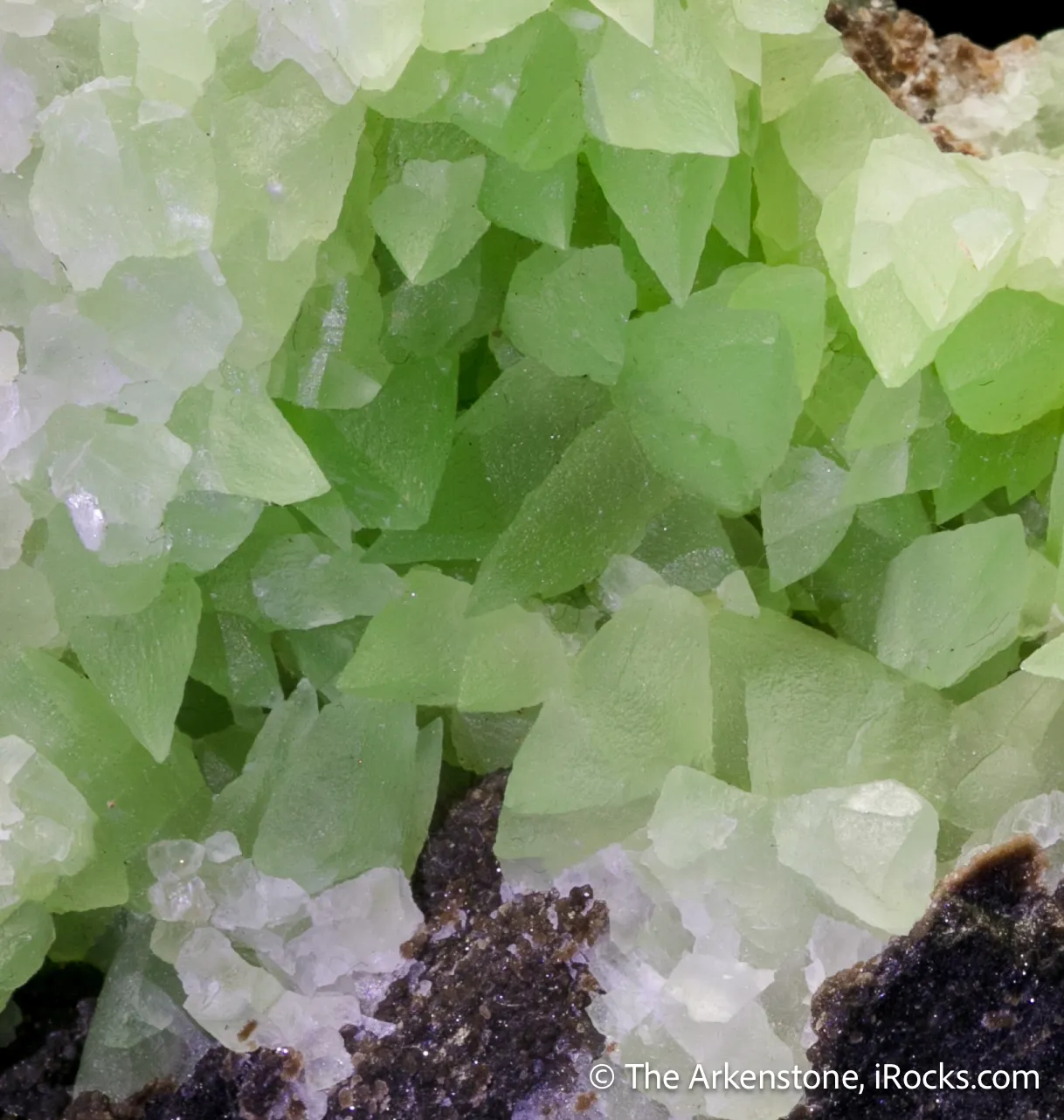 Calcite var. "Kiwi Calcite" on petrified wood - image 4