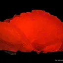 Calcite Var. Manganoan - image 3