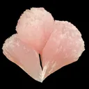 Calcite Var. Manganoan - image 1