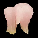 Calcite Var. Manganoan - image 1