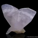 Calcite var. Manganoan (butterfly-twinned) - image 4