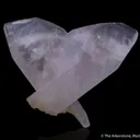 Calcite var. Manganoan (butterfly-twinned) - image 7