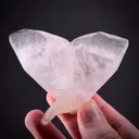 Calcite var. Manganoan (butterfly-twinned) - image 1