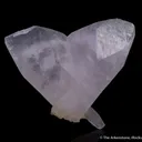 Calcite var. Manganoan (butterfly-twinned) - image 8