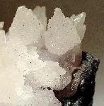 Calcite (Var: Manganoan Calcite) image