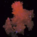 Calcite (Var: Manganoan Calcite) - image 2