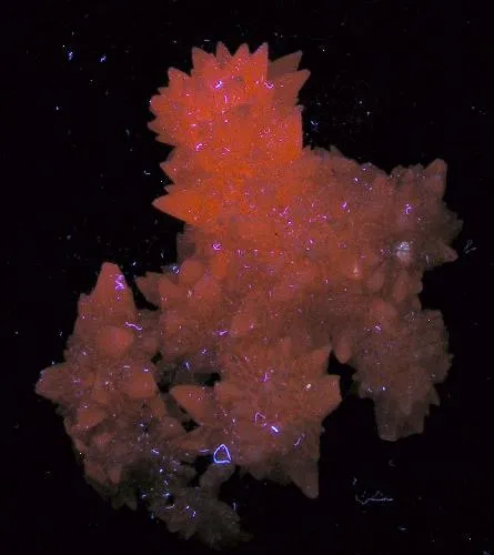 Calcite (Var: Manganoan Calcite) - image 2