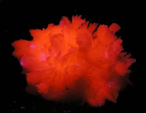Calcite (Var: Manganoan Calcite) - image 2