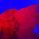 Calcite (Var: Manganoan Calcite) - image 2