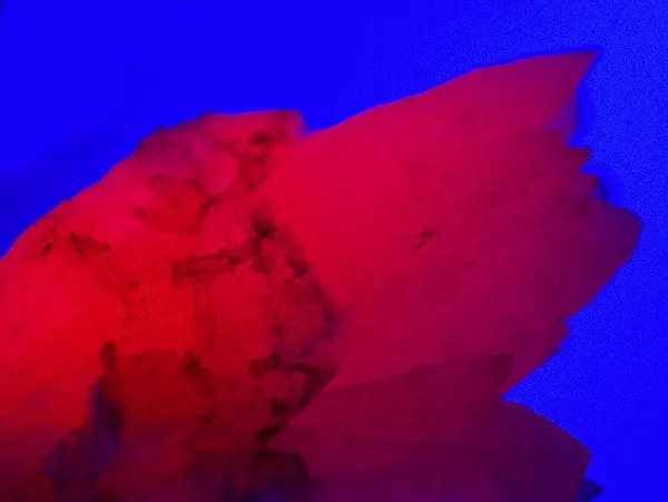 Calcite (Var: Manganoan Calcite) - image 2