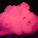 Calcite (Var: Manganoan Calcite) - image 2