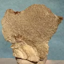 Calcite (Var: Manganoan Calcite), Calciorhodochrosite - image 1