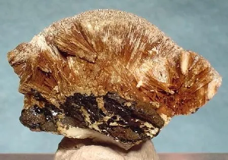 Calcite (Var: Manganoan Calcite), Calciorhodochrosite - image 2