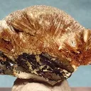 Calcite (Var: Manganoan Calcite), Calciorhodochrosite - image 2