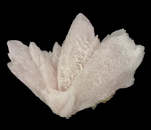 Calcite (Var: Manganoan Calcite) image