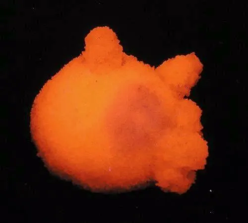 Calcite (Var: Manganoan Calcite), Kutnohorite - image 3