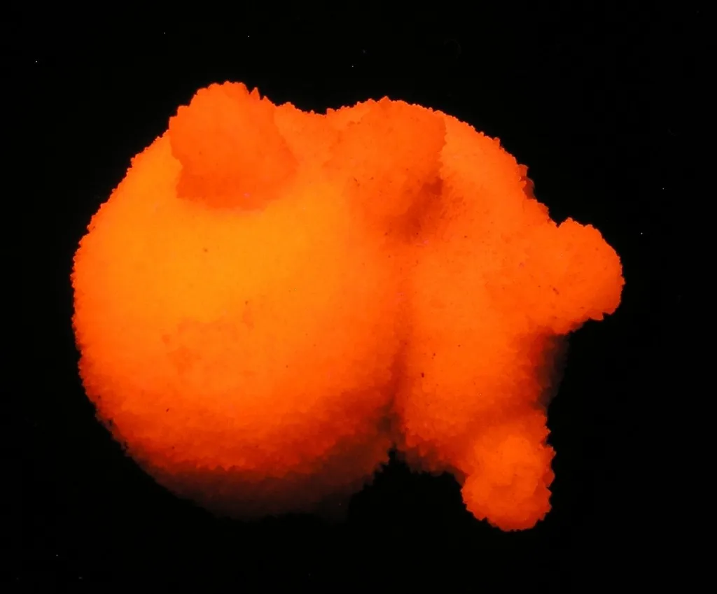 Calcite (Var: Manganoan Calcite), Kutnohorite - image 3